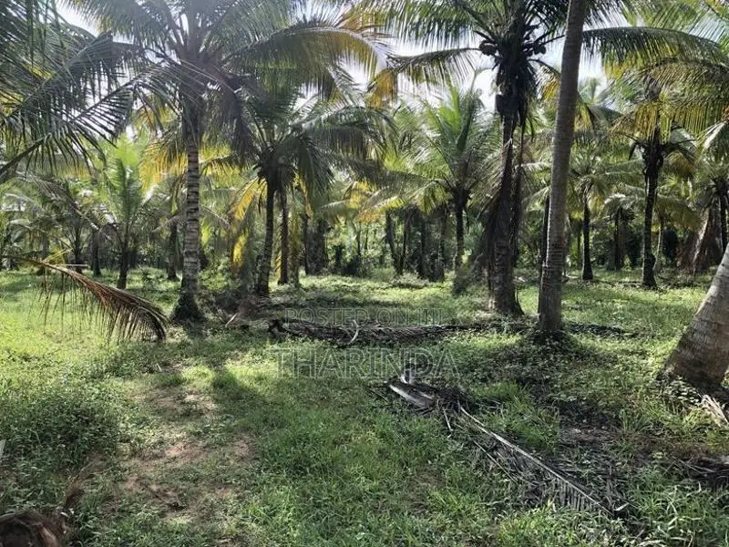 Land for Sale Bingiriya