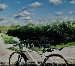 Phoenix Mountain Bicycle (used)