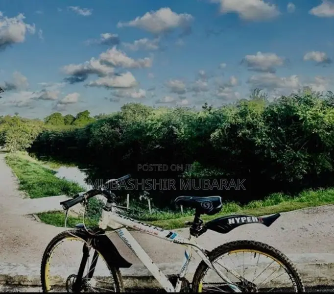 Phoenix Mountain Bicycle (used)