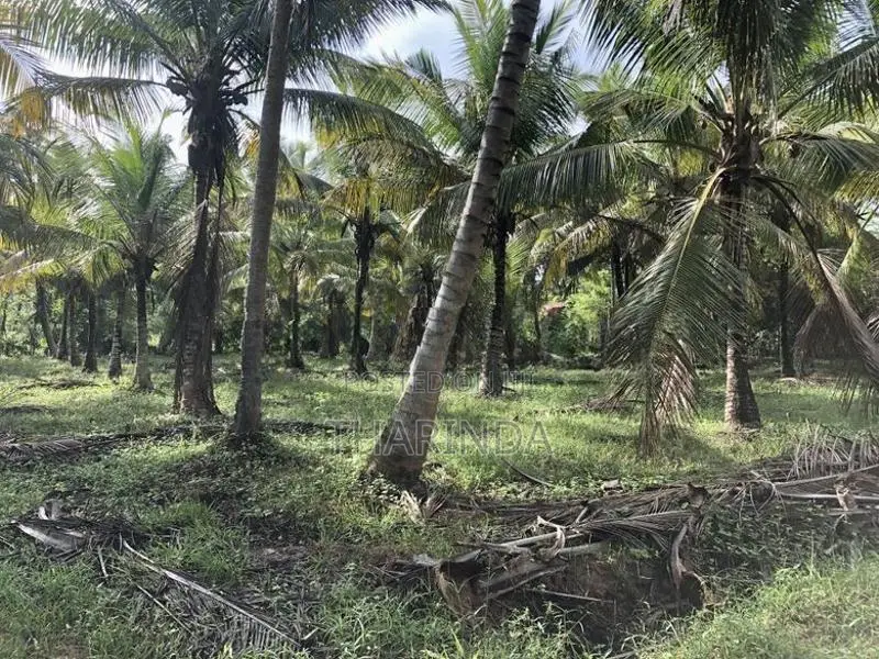Land for Sale Bingiriya
