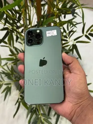 Apple iPhone 13 Pro Max 128GB (Used)