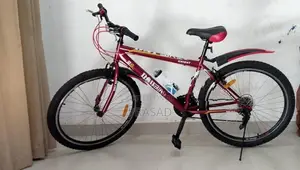 DSI Bicycle