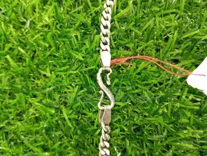 Silver Chain
