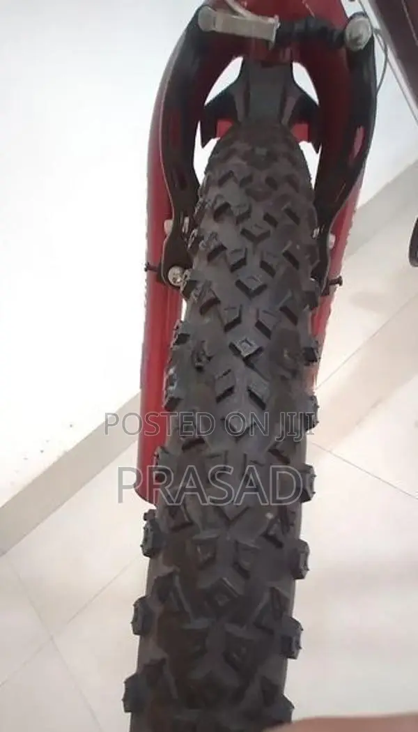 DSI Bicycle