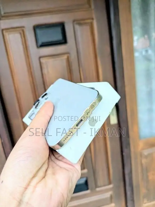 Apple iPhone 16 Pro Max 256GB (Used)
