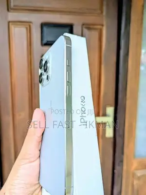 Apple iPhone 16 Pro Max 256GB (Used)