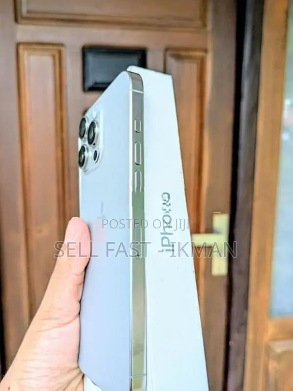 Apple iPhone 16 Pro Max 256GB (Used)