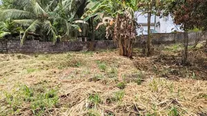 Land for Sale in Ellakkala