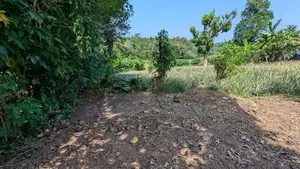 Land for Sale in Kirindiwela