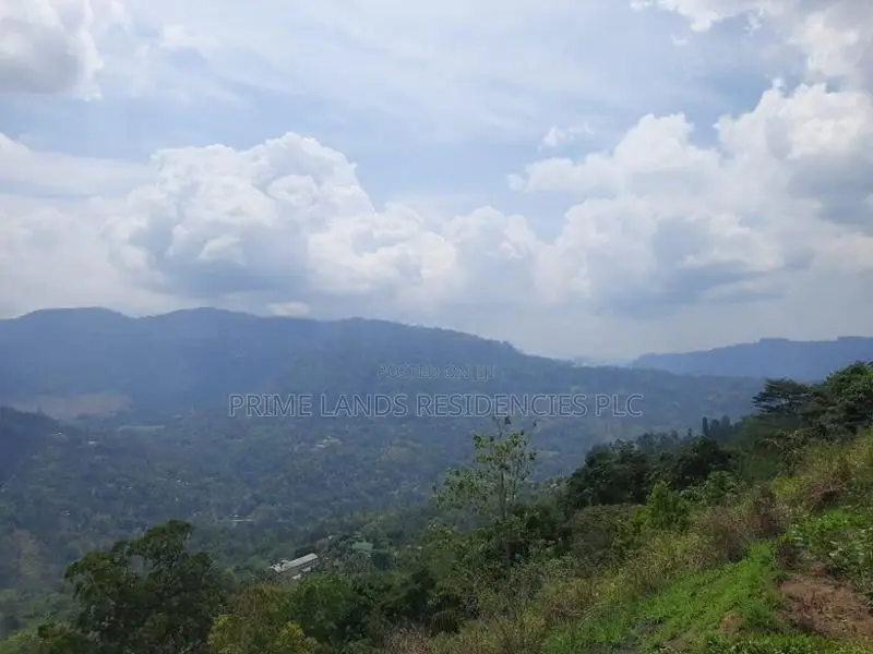 Land for sale in Pundaluoya