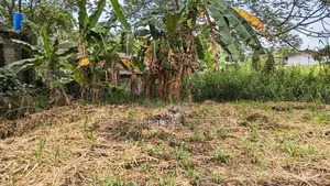Land for Sale in Ellakkala