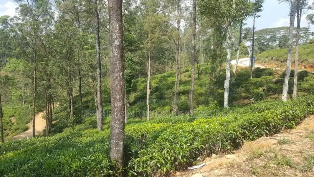 Land for sale in Pussellawa
