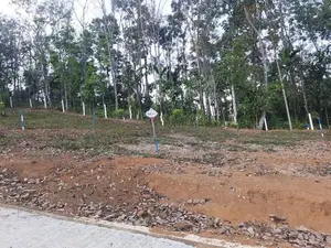 Land for sale in Nelundeniya