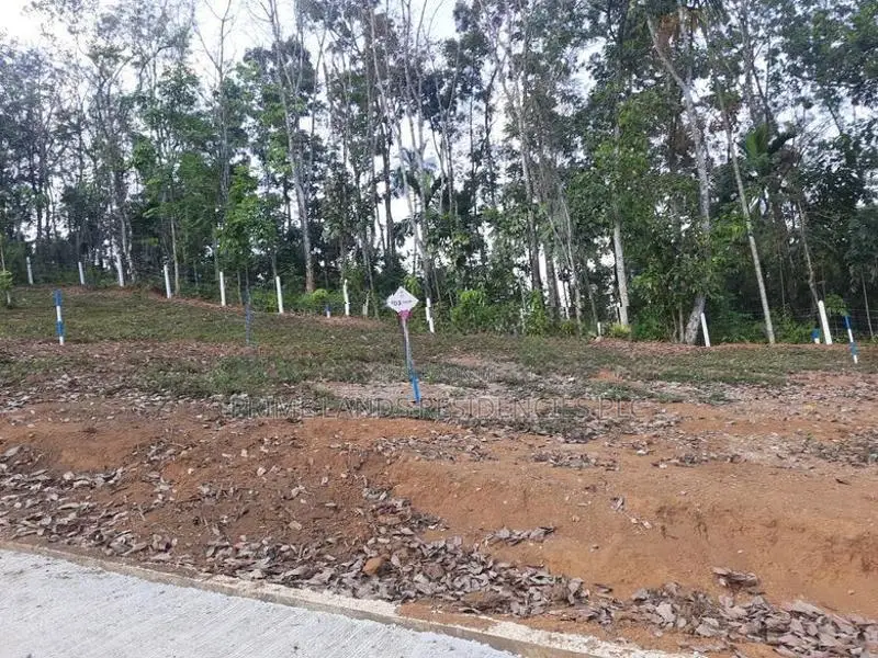 Land for sale in Nelundeniya