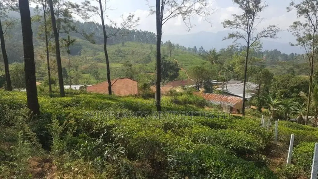 Land for sale in Pussellawa