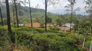 Land for sale in Pussellawa