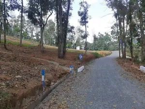 Land for sale in Nelundeniya