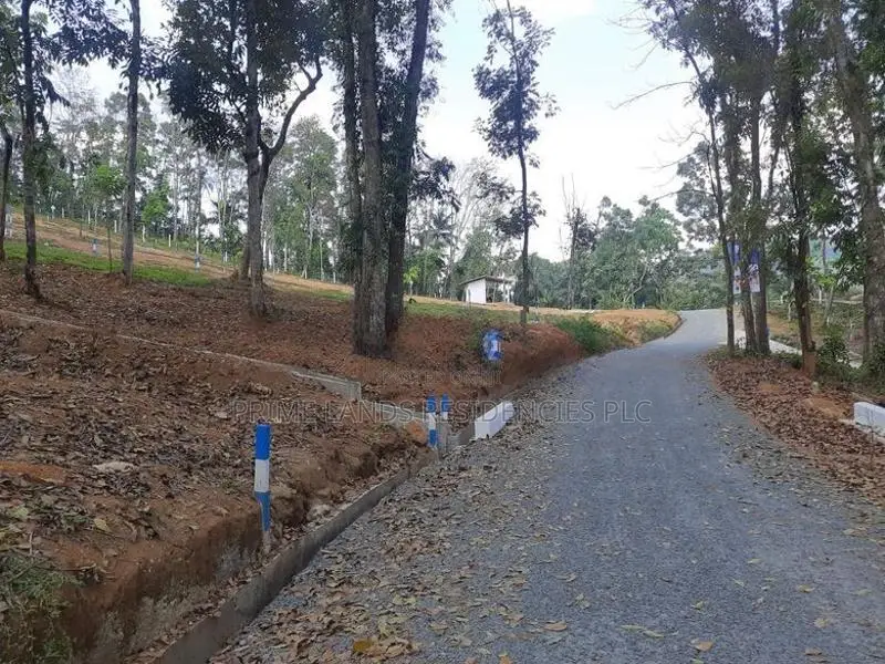 Land for sale in Nelundeniya