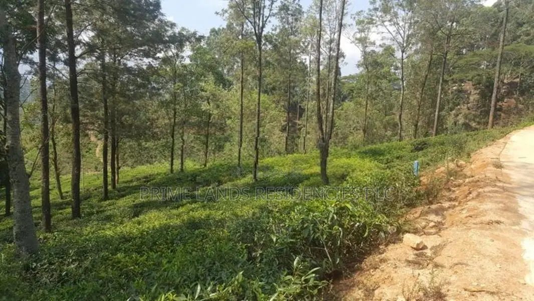 Land for sale in Pussellawa