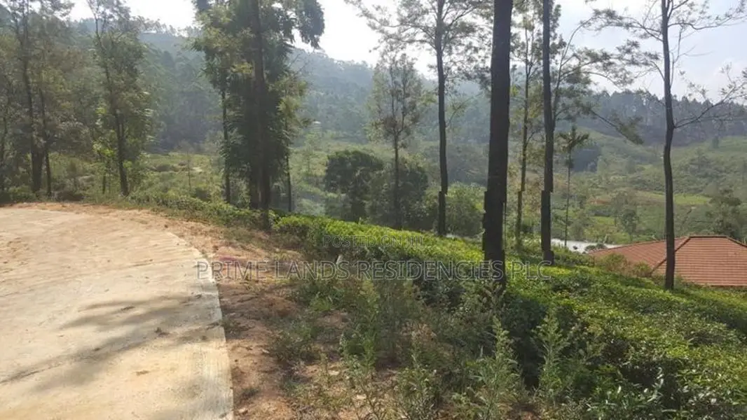 Land for sale in Pussellawa