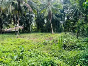 කළුතර පාරෙන් ඉඩමක් විකිණීමට - Bandaragama