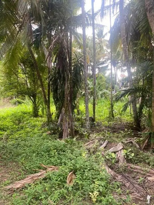 Land For Sale Rathmalana