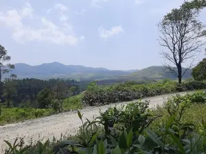 Land for sale in Ramboda