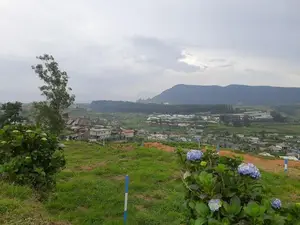 Land for sale in Nuwaraeliya, Meeplimana