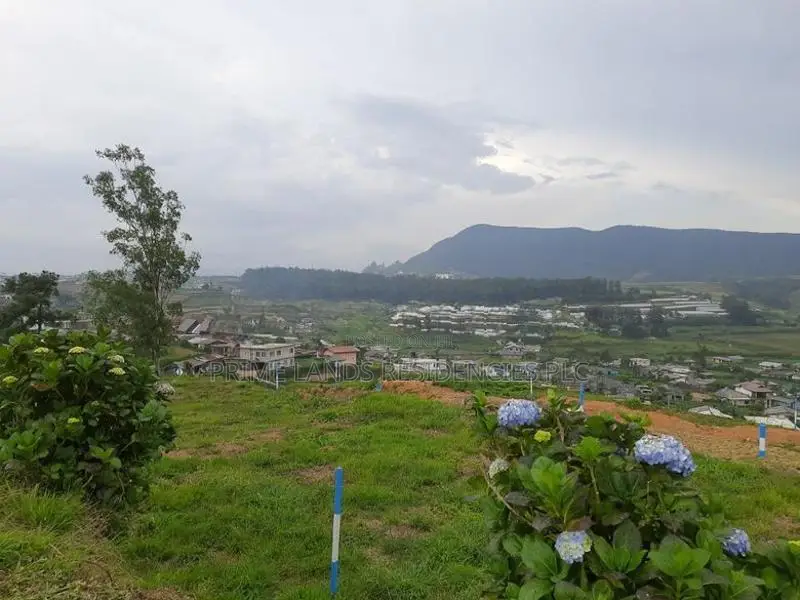 Land for sale in Nuwaraeliya, Meeplimana