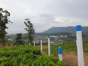 Land for sale in Nuwaraeliya, Meeplimana