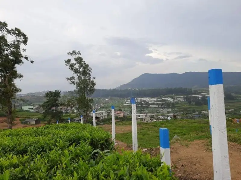 Land for sale in Nuwaraeliya, Meeplimana