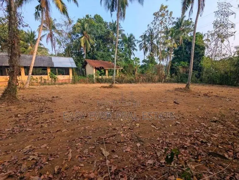 Land for Sale in Naiwala