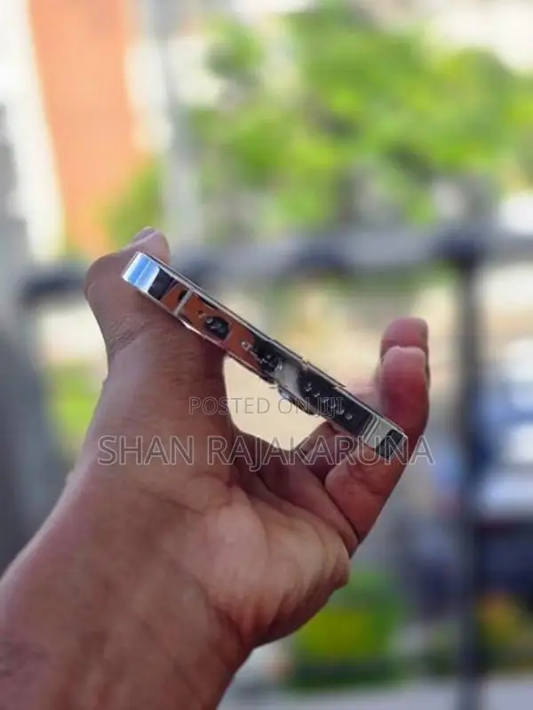Apple iPhone 13 Pro Max (Used)