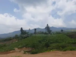 Land for sale in Ramboda