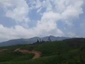 Land for sale in Ramboda