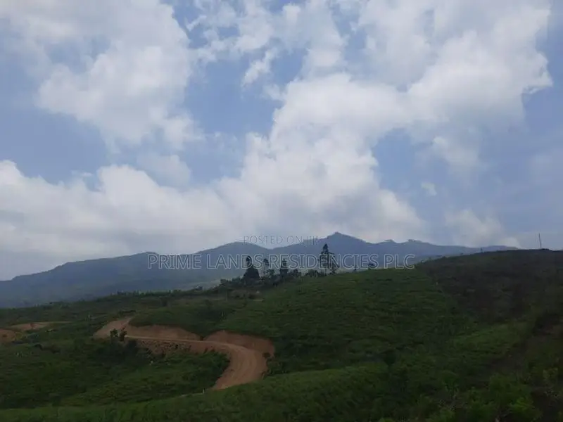 Land for sale in Ramboda