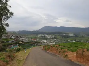Land for sale in Nuwaraeliya, Meeplimana