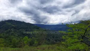 Land for Sale in Nillamba