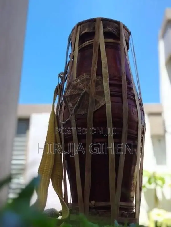 කොහොඹ ගැටබෙරය