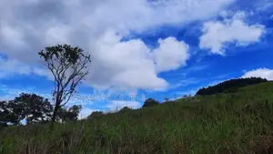 Land for Sale in Nillamba