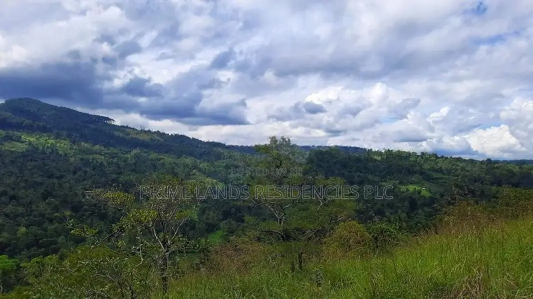 Land for Sale in Nillamba