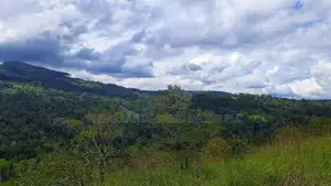 Land for Sale in Nillamba