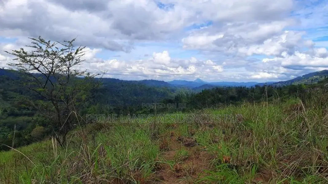 Land for Sale in Nillamba