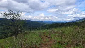 Land for Sale in Nillamba