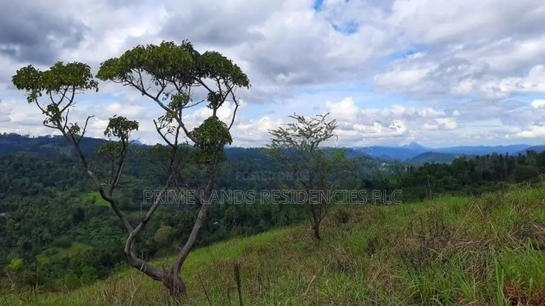 Land for Sale in Nillamba