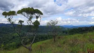 Land for Sale in Nillamba
