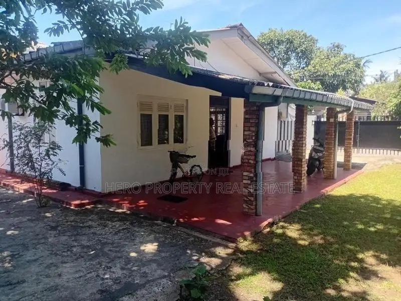 Semi Furnished Modern House for Rent in Mount Lavinia 🏠