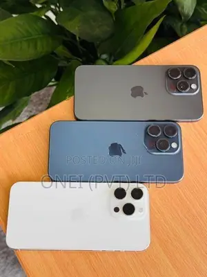 Apple iPhone 15 Pro Max 256GB (Used)
