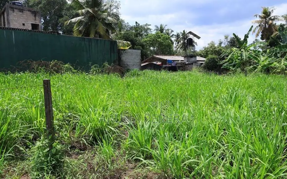 Land for Sale in Homagama