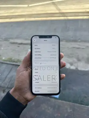 Apple iPhone 12 Pro Max (Used)